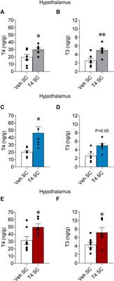 Temperature modulates systemic and central actions of thyroid hormones on BAT thermogenesis